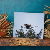 ハゲワシ フォトプラーク (側面)