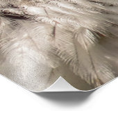 ハゲワシ フォトプリント            (角)