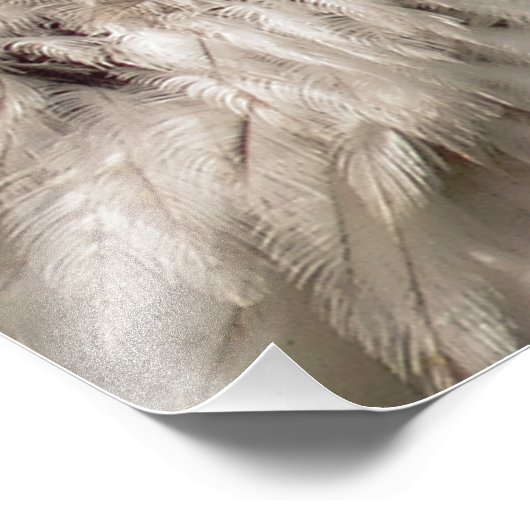 ハゲワシ フォトプリント            (角)