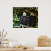 ハゲワシ ポスター (キッチン)