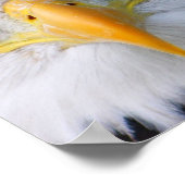 ハゲワシ ポスター (角)