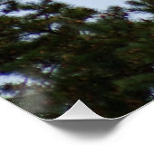 ハゲワシ ポスター (コーナー)