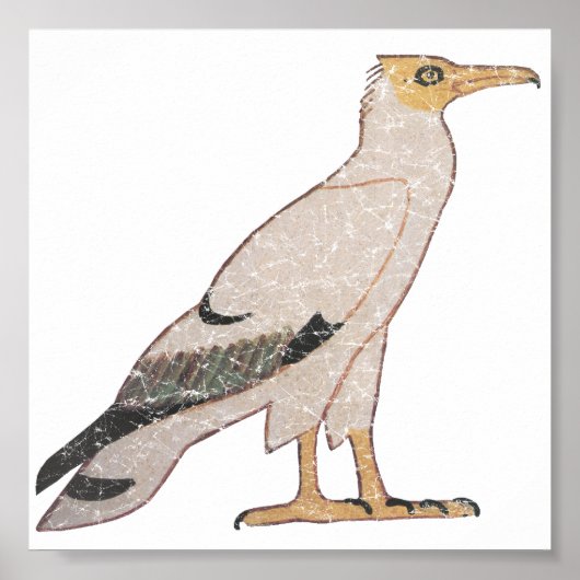 ハゲワシ ポスター (正面)