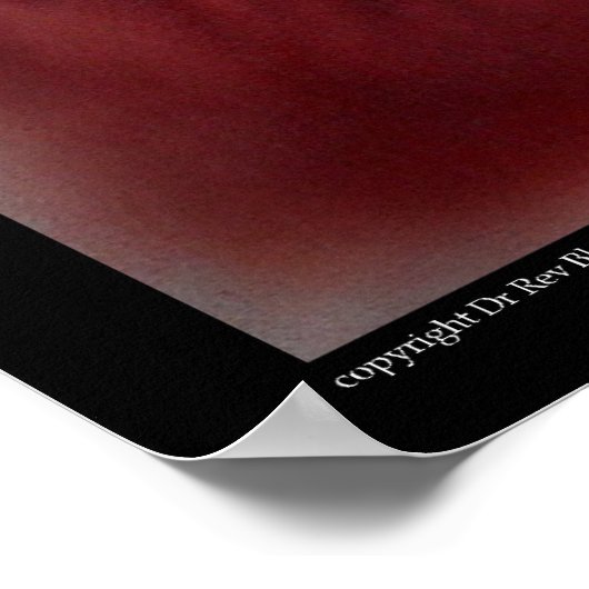 ハゲワシ ポスター (角)