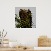 ハゲワシ ポスター (キッチン)