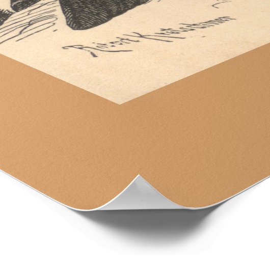 ハゲワシ ポスター (角)