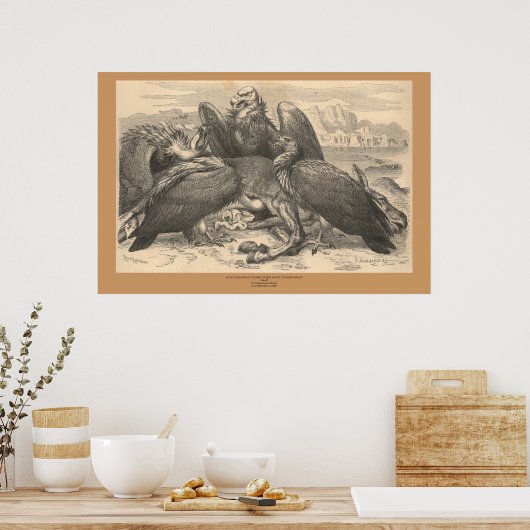 ハゲワシ ポスター (キッチン)