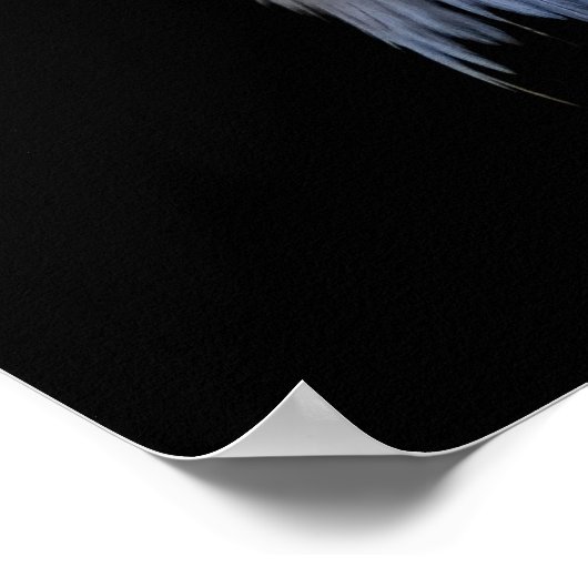 ハゲワシ ポスター (角)