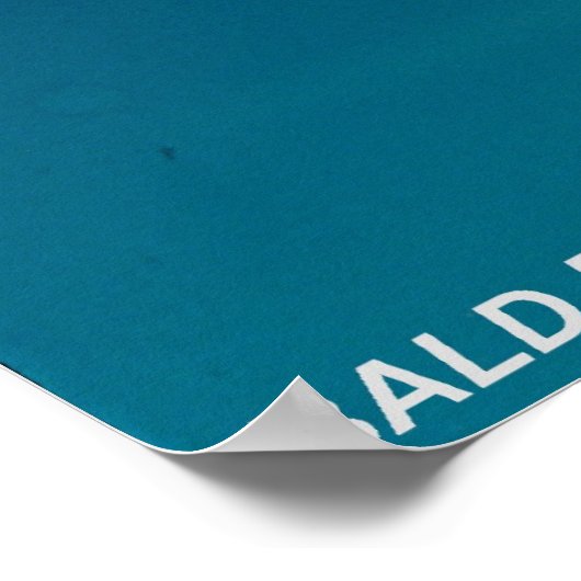 ハゲワシ ポスター (角)