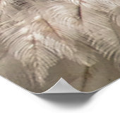 ハゲワシ ポスター (角)