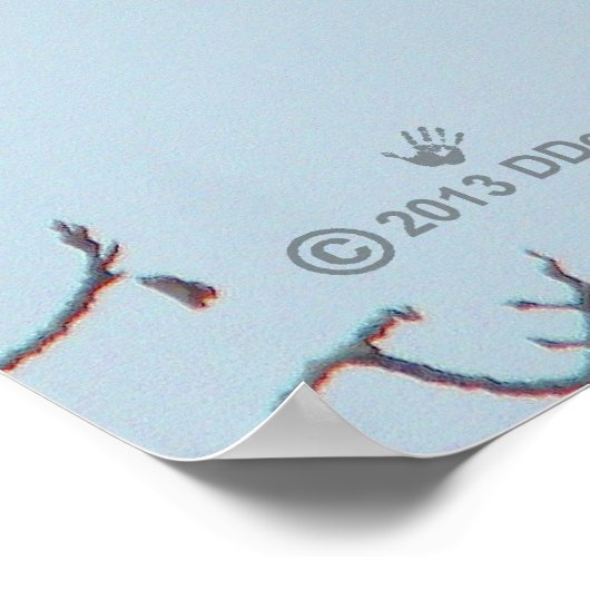 ハゲワシ ポスター (角)