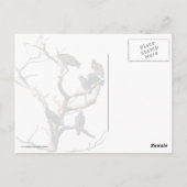 ハゲワシ ポストカード (裏面)