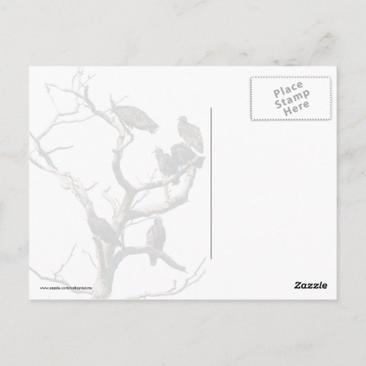 ハゲワシ ポストカード (裏面)