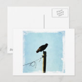 ハゲワシ ポストカード (正面/裏面)