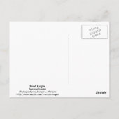 ハゲワシ ポストカード (裏面)