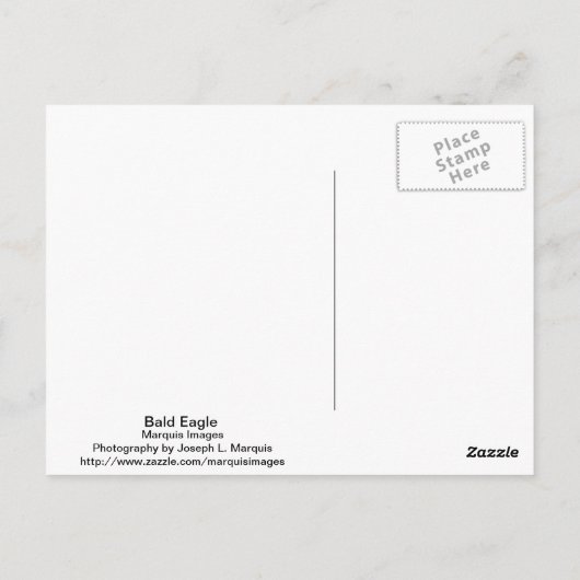 ハゲワシ ポストカード (裏面)