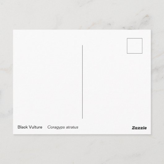 ハゲワシ ポストカード (裏面)