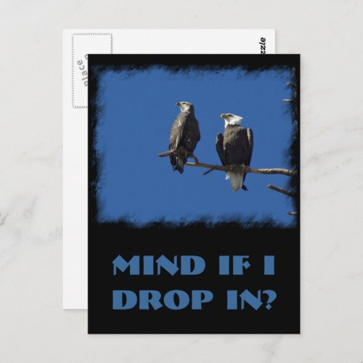 ハゲワシ ポストカード (正面/裏面)