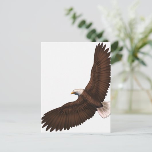 ハゲワシ ポストカード (スタンド正面)