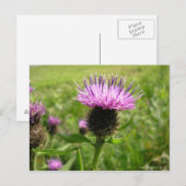 ハゲワシ ポストカード (正面/裏面)