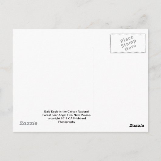 ハゲワシ ポストカード (裏面)