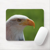 ハゲワシ マウスパッド (マウス)