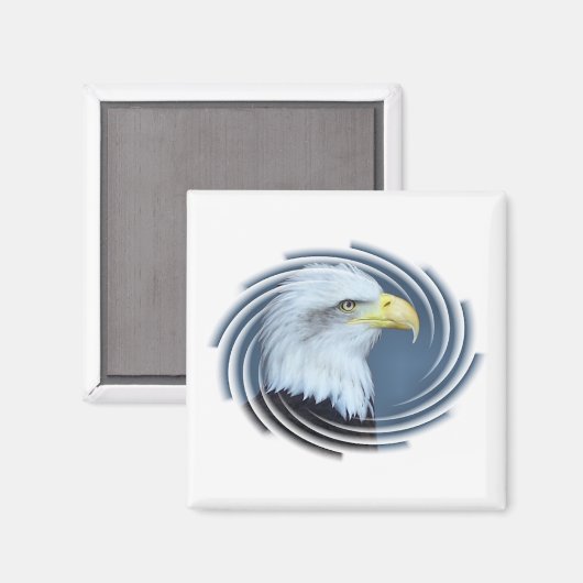 ハゲワシ マグネット (正面/裏面)