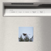 ハゲワシ マグネット (インサイチュ (食洗機))