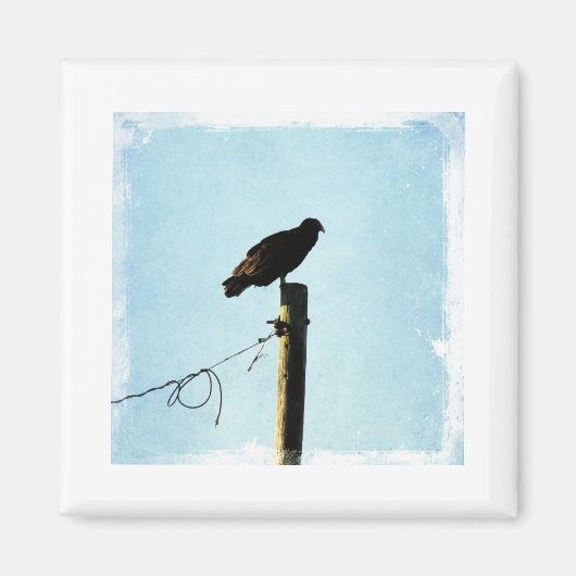 ハゲワシ マグネット (正面)