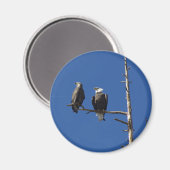 ハゲワシ マグネット (正面/裏面)