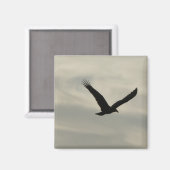 ハゲワシ。 マグネット (正面/裏面)