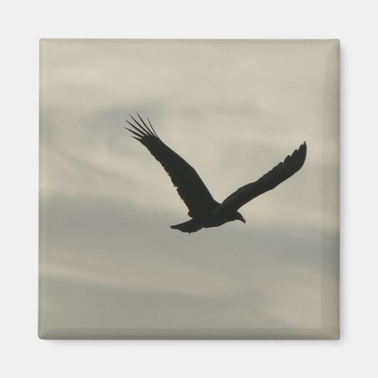 ハゲワシ。 マグネット (正面)