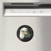 ハゲワシ マグネット (インサイチュ (食洗機))