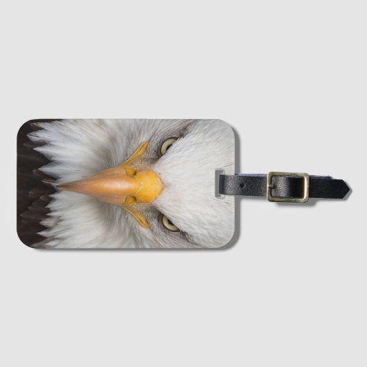 ハゲワシ ラゲッジタグ (正面横)