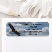 ハゲワシ ラベル (インサイチュ)