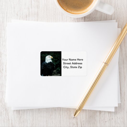 ハゲワシ ラベル (インサイチュ)