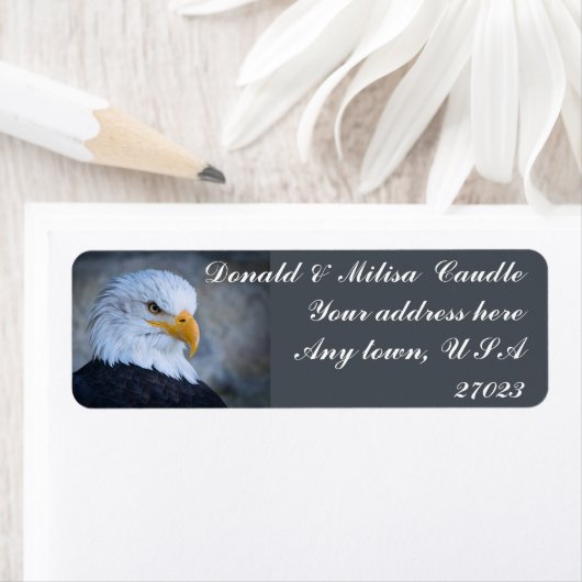 ハゲワシ ラベル (インサイチュ)