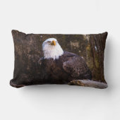 ハゲワシ ランバークッション (正面)