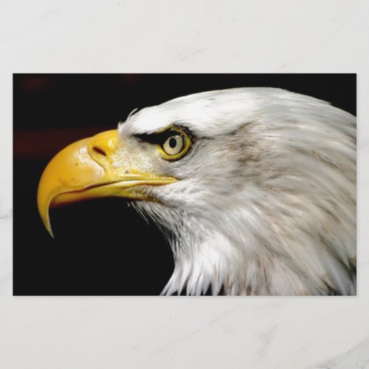 ハゲワシ 便箋 (正面)