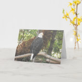 ハゲワシ 哀悼カード カード (黄色い花)