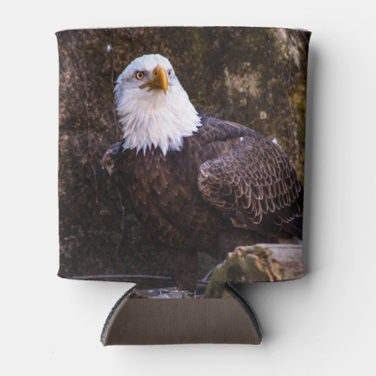 ハゲワシ 缶クーラー (正面)