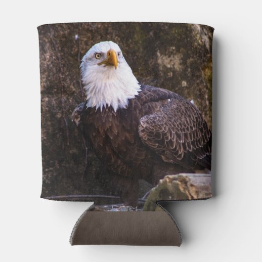 ハゲワシ 缶クーラー (裏面)