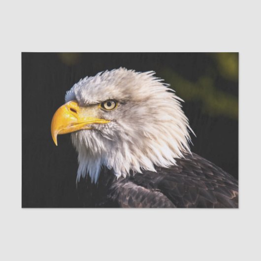 ハゲワシ 薄葉紙 (正面)