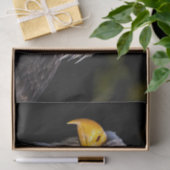 ハゲワシ 薄葉紙 (ギフト)