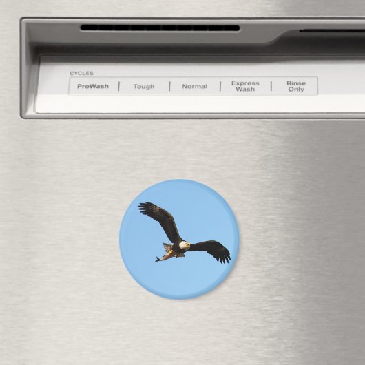 ハゲワシ(魚) マグネット (インサイチュ (食洗機))