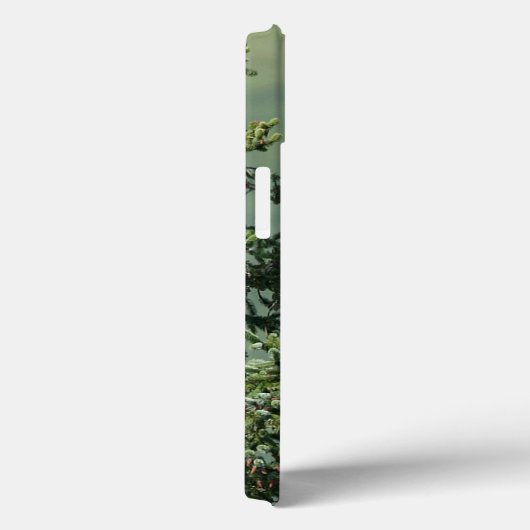 ハゲワシ Case-Mate iPhoneケース (裏面 / 右)