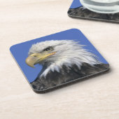 ハゲワシ(Haliaetus leucocephalus)、野生の コースター (左側)