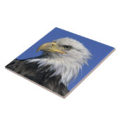 ハゲワシ(Haliaetus leucocephalus)、野生の タイル (側面)