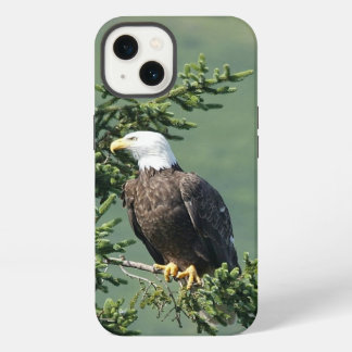 ハゲワシ iPhone 13ケース