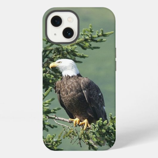 ハゲワシ iPhoneケース (裏面)